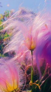 Whimsical Pink Flower Close-Up Photography